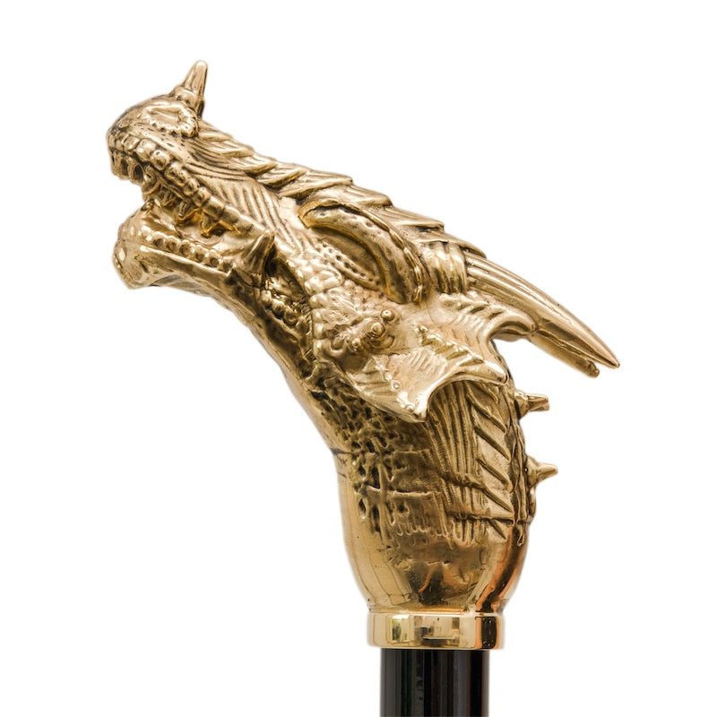 Pasotti-Golden-Dragon-umbrella